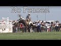 NO FENCES DOXA RODEO - Rodeo Time 74