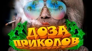 ЛУЧШИЕ ПРИКОЛЫ 2019 Август ржака угар ПРИКОЛЮХА