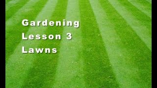 Gardening Lesson 3 Lawns