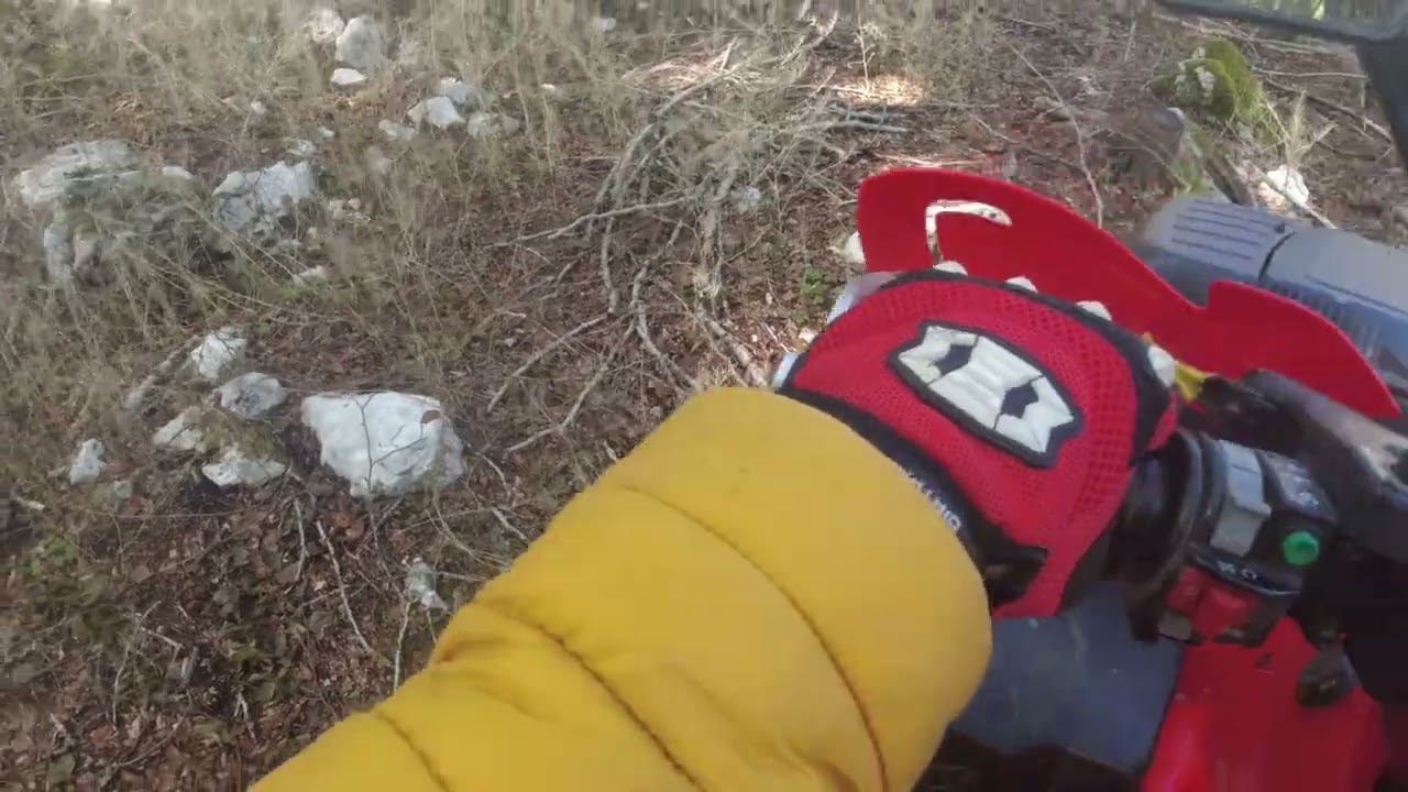 Tra i Boschi di Marsia (AQ)...