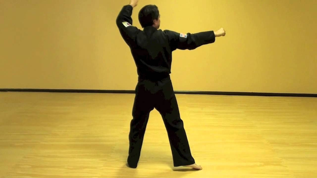 Wan Hyo Step By Step   Tae Kwon Do Pattern