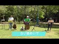 白い猫おいで(梓真由美)cover