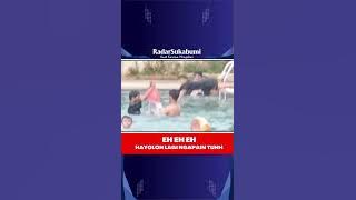 Viral bocah kepergok di kolam renang lagi plus plus #shorts #viral
