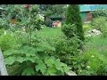 Сад - мечта на 4-х сотках. 3 разных маленьких сада. Small gardens.