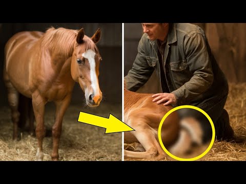 Только посмотрите, кого родила эта лошадь! Вся деревня сбежалась в ужасе!
