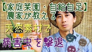 【家庭菜園・自給自足】農家が教える病害虫を撃退する方法