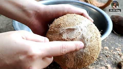 Mẹo bổ dừa khô xịn xịn _ Út Ơi Vlog