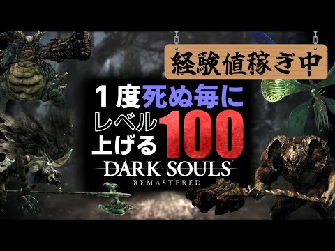 【レベル330~】驚異の3000万ソウルでレベル400に上げる【DARK SOULS REMASTERED】