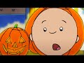 Halloween Pumpkin | Caillou Cartoon