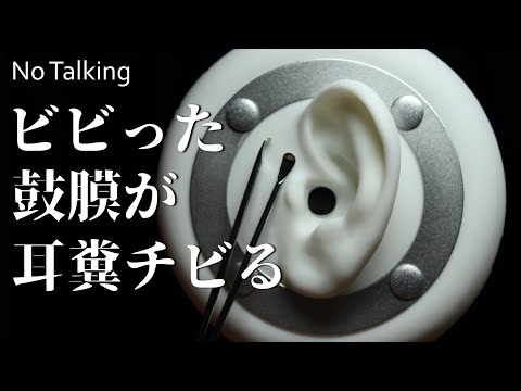 ASMR 4種類の雑で激しい耳かき Rough Ear Cleaning (No Talking)