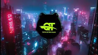 一只白羊 - 顺风顺水顺财神 (DJ抖音版) Shun Feng Shun Shui Shun Cais Hen (Remix TikTok) - Yi Zhi Bai Yang