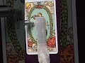 The World - Learn Tarot - Symbolism - Part 1