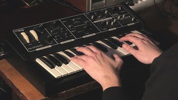 Moog Rogue (1981) analog synthesizer  - test with some effects