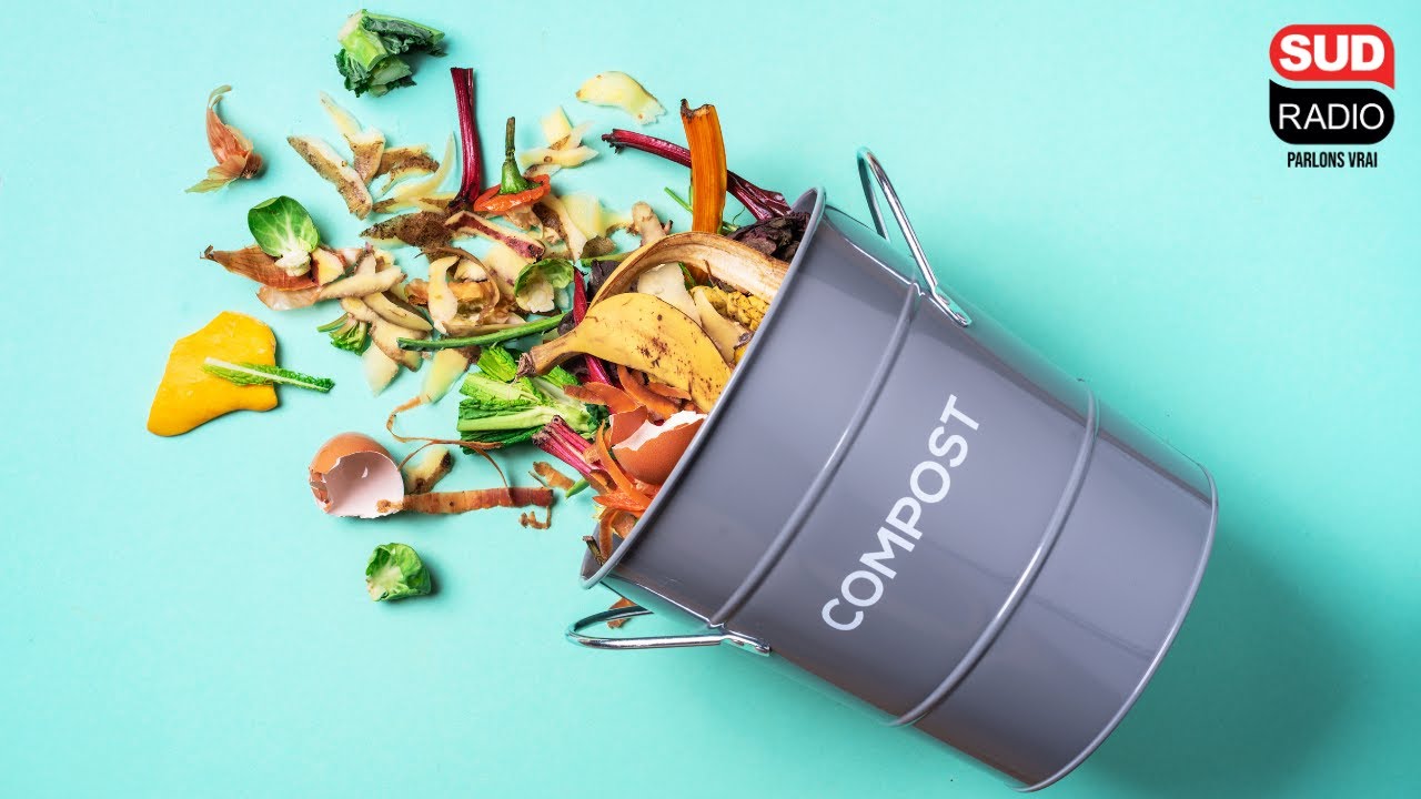 Que faut-il mettre dans son compost ?