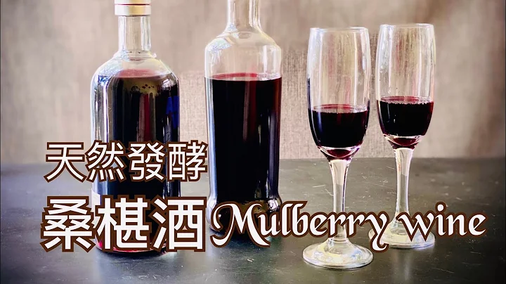 天然發酵桑椹酒Mulberry wine 古法釀酒、阿嬤的釀酒法、沒加一滴酒，為什麼會變成酒精？Sub Eng字幕 - 天天要聞