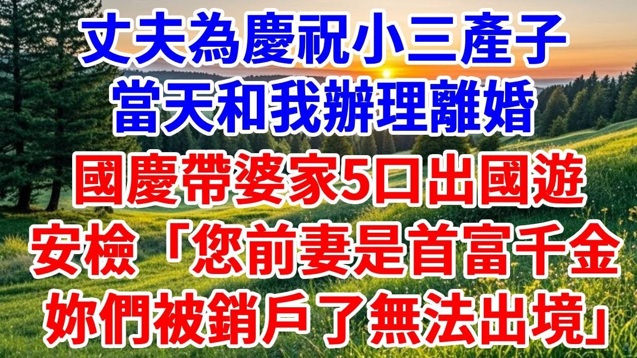 丈夫為慶祝小三產子，當天和我辦理離婚，國慶帶婆家5口出國遊，安檢「您前妻是首富千金，妳們被銷戶了無法出境」#詩涵講故事#為人處世#生活經驗#情感故事#晚年哲理#說故事#完結文#原創故事