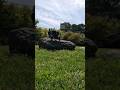 Arrma Big Rock Jumping of A Rock. 🔥