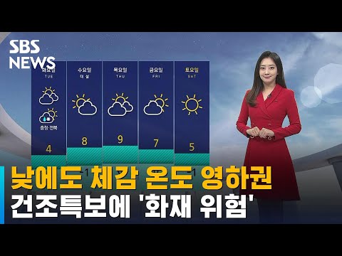 [날씨] 찬 바람에 낮에도 체감 온도 영하권…서해안 지방 눈 / SBS