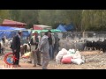 Bozkır'da Kurbanlıklar Bu Sene Değirmen Çayında Video 22.10.2012
