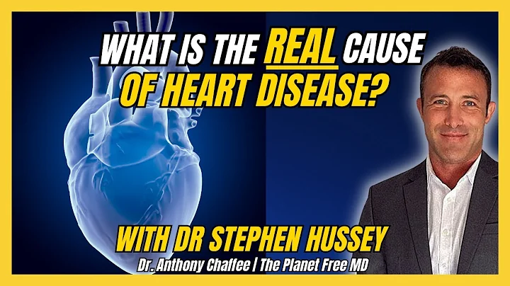 What Is The REAL Cause of Heart Disease | Dr Stephen Hussey | Ep 93