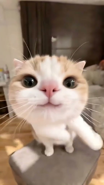 https://youtube.com/shorts/D5lrvcAOShU?si=yUnUwSq6az44qCjU🤯🤯🤯🤯🤯🤯🤯🤯🤯🤯