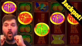 MEGA BONUS! I LAND ALL 5 COINS For A GUARANTEED BONUS On Fu Dai Lian Lian Slot Machine! JACKPOT! screenshot 2