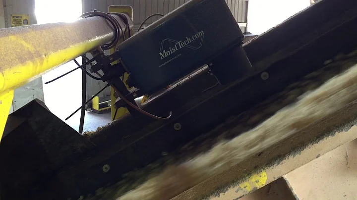 How to Detect Moisture in Green Wood Chips