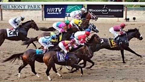 2008 Belmont Stakes - Horse Lovers