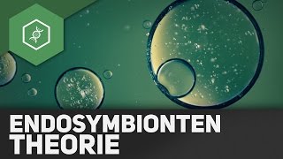 Endosymbiontentheorie