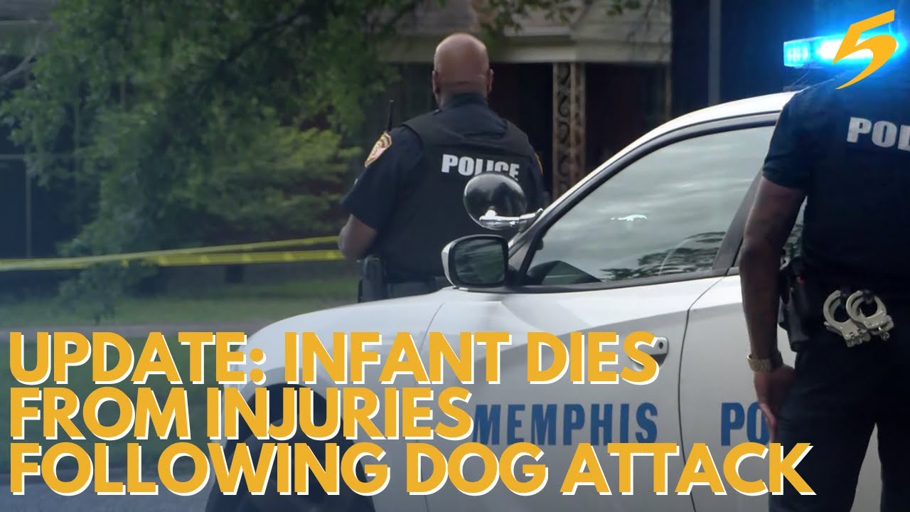 Infant dies from injuries following dog attack - YouTube