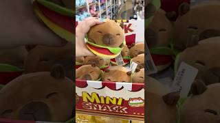 Capybara Plush 😱 #shorts #shortfeed #capybara #miniso #minisovlog #plush #plushies #tiktokviral