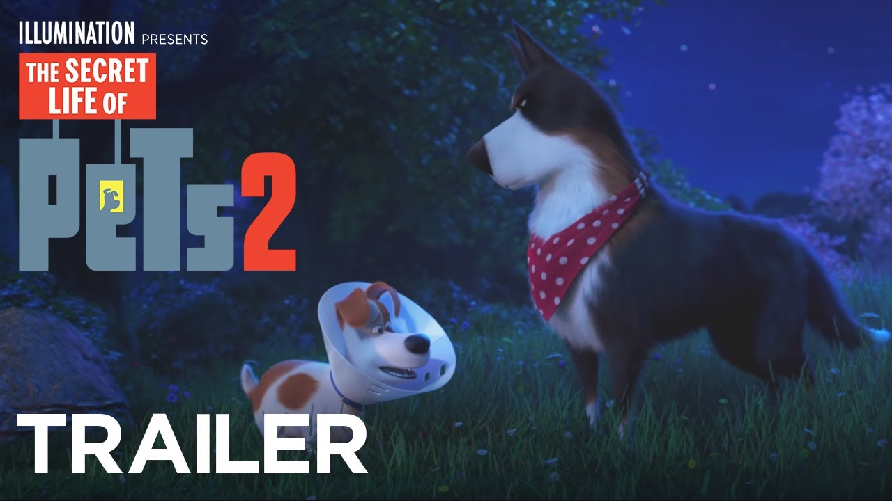 Image result for The Secret Life of Pets 2