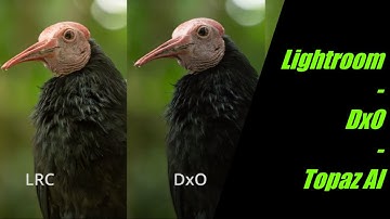 Adobe Lightroom - Topaz - DxO Pure Raw 3