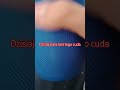 dzisiaj