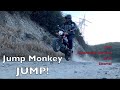Jumping Honda Monkey | Monkeying Around with #shorts