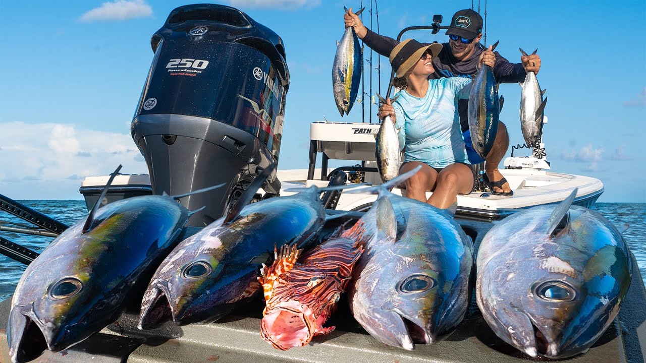 Offshore Tuna Frenzy on the Bay Boat