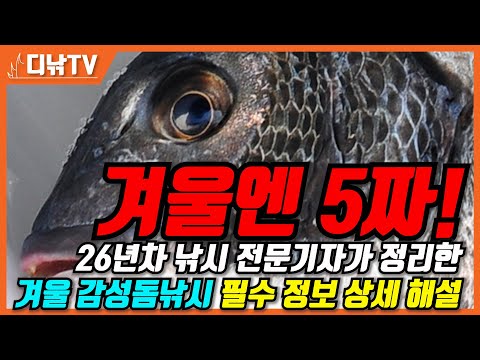 당신도 5짜 낚을 수 있습니다! 26년차 낚시 전문기자가 정리한 겨울 감성돔낚시 필수 정보 상세 해설 [디낚TV 낚시공부방]