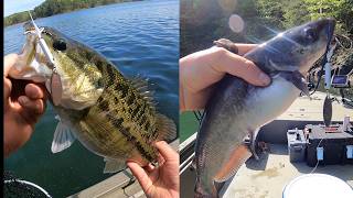 Catch More Fish with This OLD SCHOOL Lure!!
