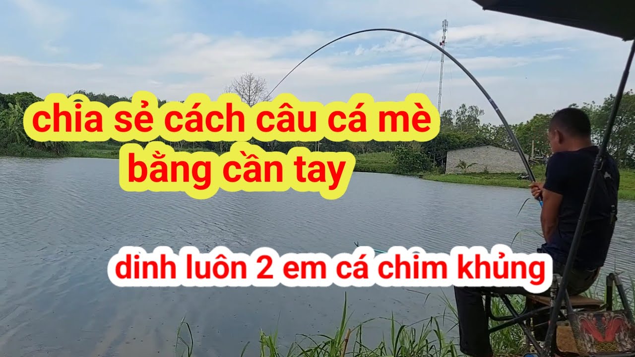 chia sẻ cách câu cá mè trắng bắng cần tay. vớ luôn 2 con cá chim khủng ae ạ #caucame