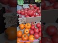 Асортимент та ціни на овочі та фрукти на Центральному ринку навпроти АТБ #володимирівнарулить
