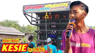 Download Lagu Lagu Paling Sedih Yang Bisa meneteskan Air Mata KESIE Andri Bocil ft. Disya Musik Live Pijot MP3
