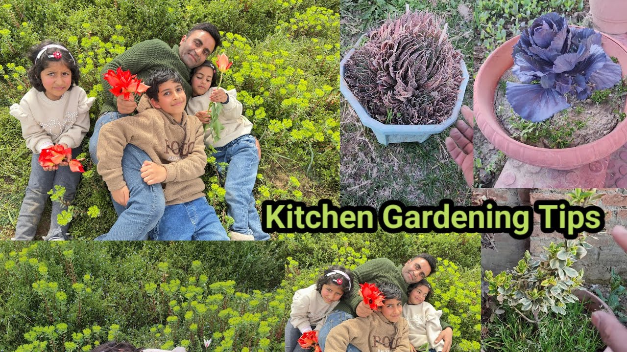 My Kitchen Gardening Tips Series | Sowing Seeds In March