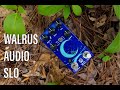 Best Reverb Pedal EVER!? - Silent Review of the Walrus Audio SLO