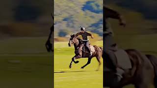 Prince Taehyung Horse Riding