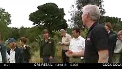 Dogs to take on Australian foxes