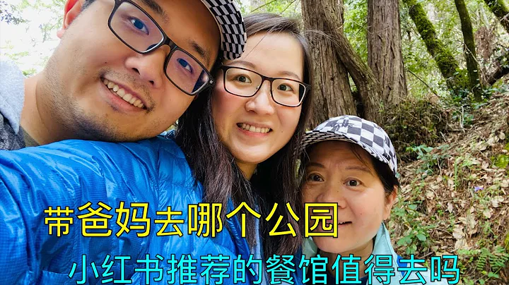 【JaneTall Vlog 08】带爸妈转自然公园｜强烈推荐 Purisima Creek Redwoods Preserve ｜小红书饭店踩雷 - 天天要闻