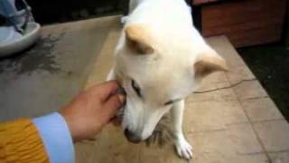20101001.mp4