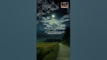 تلاوة تلامس القلوب شيخ ياسر الدوسرى #قرآن #المصحف #القرآن_الكريم #foryou #حالات_واتس #explore #الله