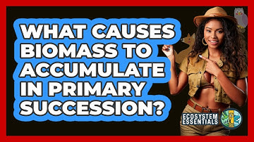 What Causes Biomass to Accumulate in Primary Succession?