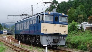 鉄道文化むら EF63 24号機 動態保存車